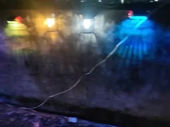 ποικιλίες των ηλιακών φω'των κήπων