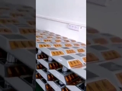 Αδιάβροχο ανθεκτικό ηλιακό οδικό στήριγμα στυλοβατών για την ασφάλεια διαβάσεων